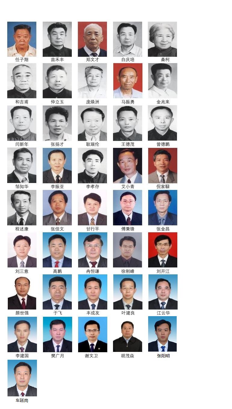 现任领导